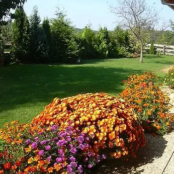 Guest house Margareta Panzio 3*