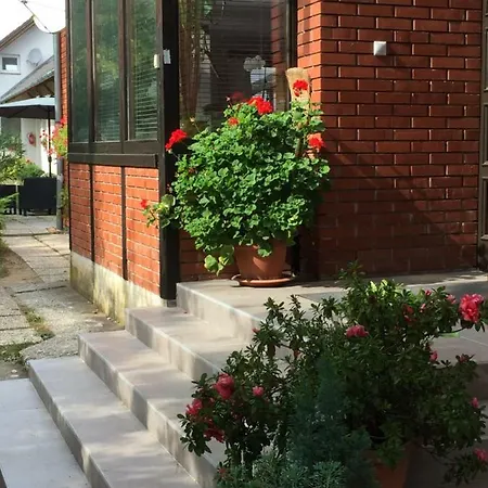 Margareta Panzio Guest house
